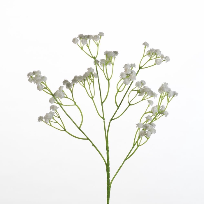 <h4>AF Gypsophila spray L62cm wh</h4>