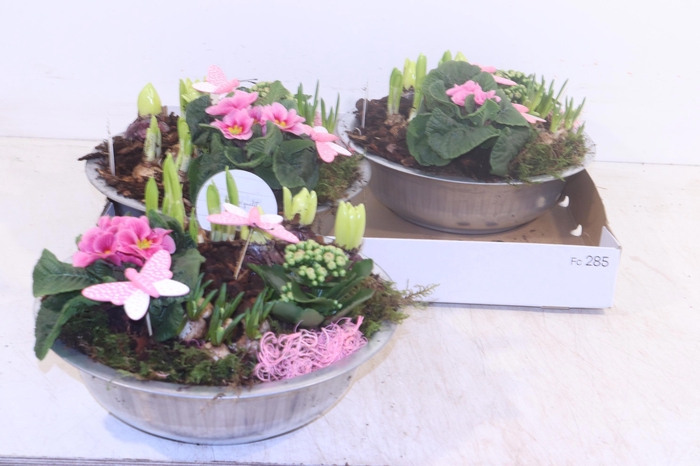 <h4>ARR PL IN SCHAAL</h4>