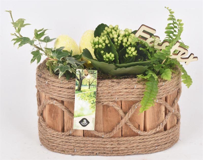 <h4>Hout ovaal met touw 21x11.5cm</h4>