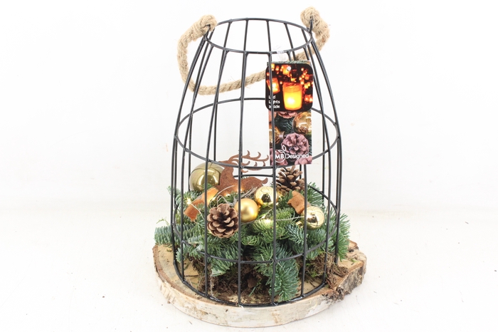 <h4>arr5 Kerst MB - Vogelkooi Gold led</h4>