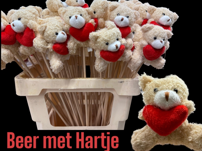 <h4>HUIS EN TUINDECO H%</h4>