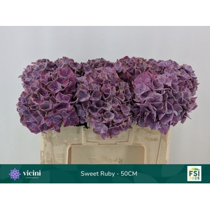 HYDR M MAG SWEE RUBY