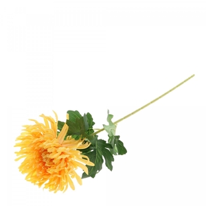 Chrysanthemum 74cm