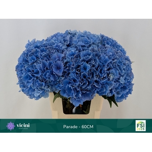 HYDR M ROYAL PARADE