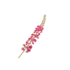 Eremurus Cerise