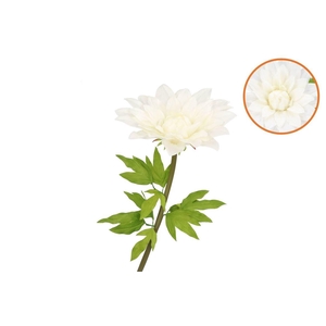 Silk Amazing Dahlia Beauty Cream Xxl 50x120cm