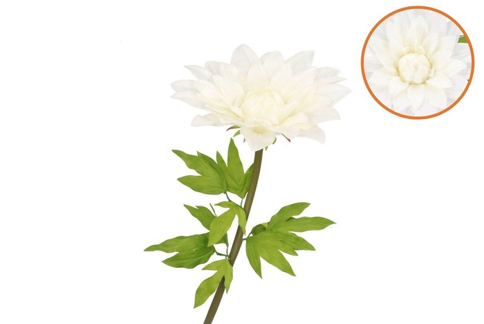 <h4>Silk Amazing Dahlia Beauty Cream Xxl 50x120cm</h4>