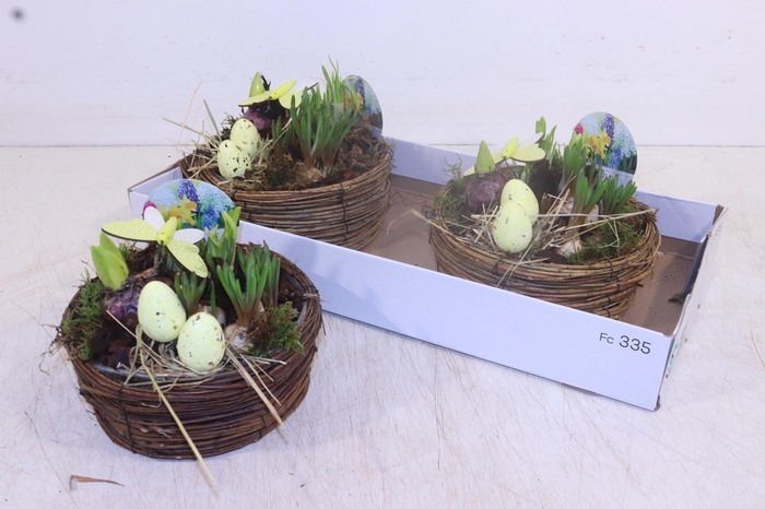 <h4>ARR BOL KNOLGEWAS</h4>