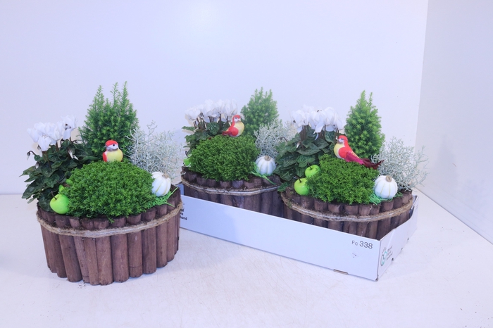 <h4>ARR TUINPLANTEN</h4>