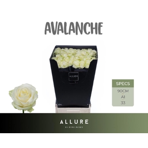 R Gr Avalanche+ Super