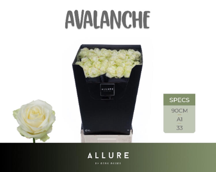 <h4>R Gr Avalanche+ Super</h4>