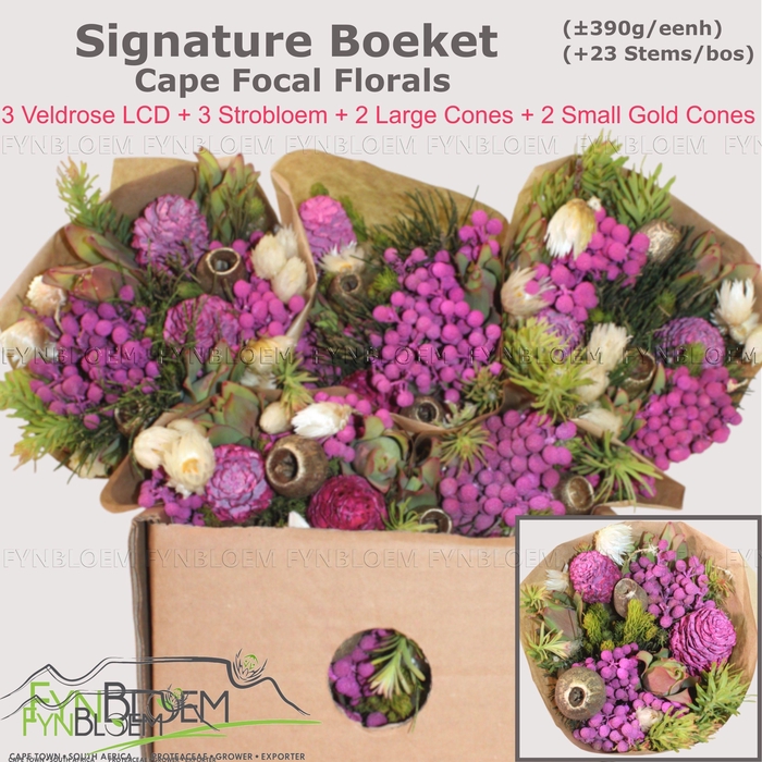 <h4>KAAPS GROE GEM IN BS</h4>