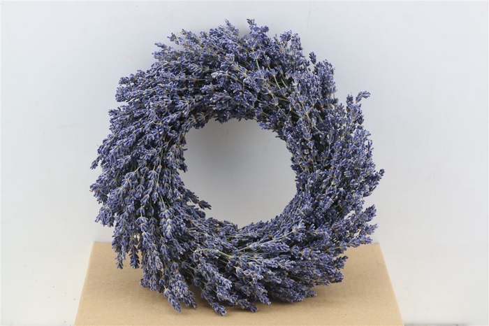 Wr Dried Lavendel 30cm