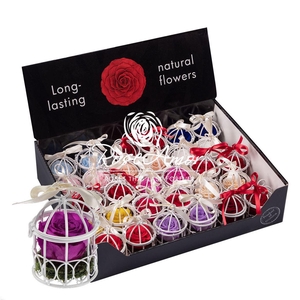 Display Bird Cage Assorted