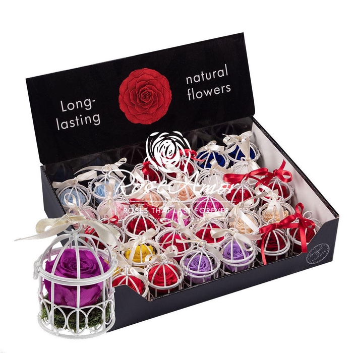 <h4>Display Bird Cage Assorted</h4>