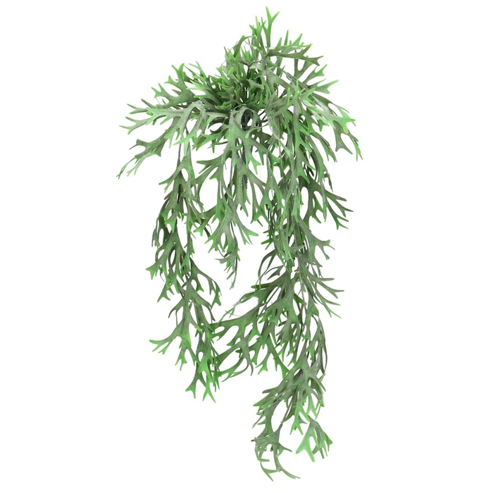 <h4>Kunstplanten Staghorn 84cm</h4>