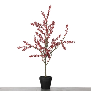 AF Ilex Plant in Pot L78cm Red