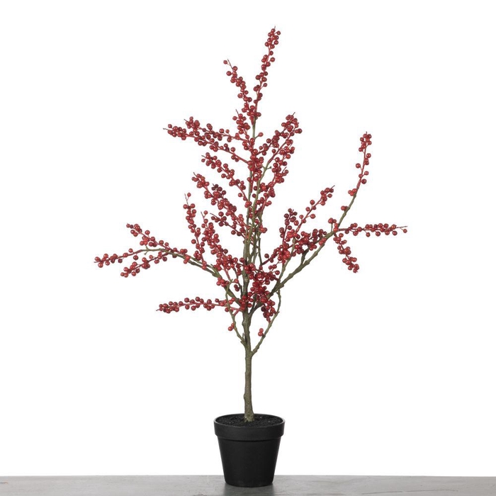 <h4>AF Ilex Plant in Pot L78cm Red</h4>
