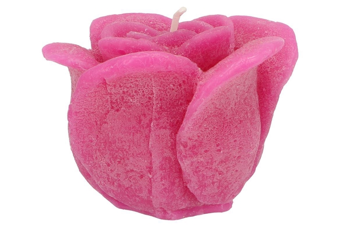 Candle Roos Fuchsia 14x12cm Nm