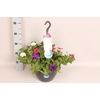 Hangpotten 27 waterreservoir Mix 14 Petunia trio