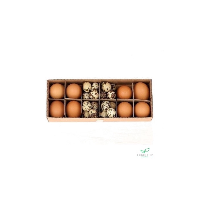 <h4>EGG NATURAL 32PCS (8 HEN + 24 QUAIL)</h4>