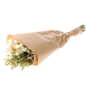 .Mix avena-acrocl-gyps