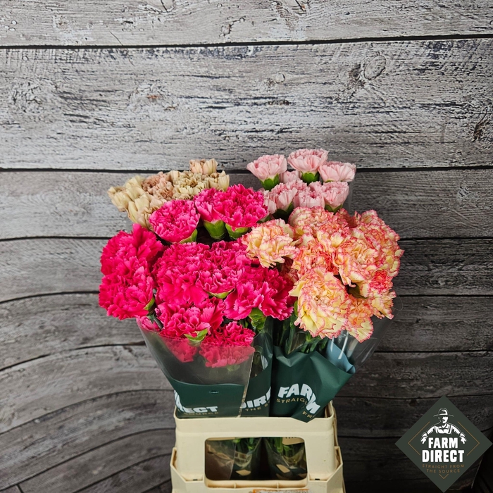 <h4>DI ST GEMENGD IN FUST</h4>