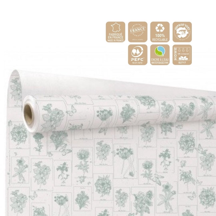 Paper Roll 80cm 40m Curiosity