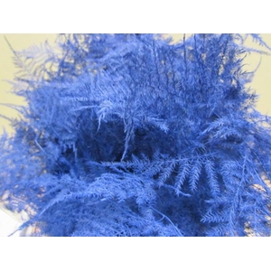Asp Lang Get Blauw