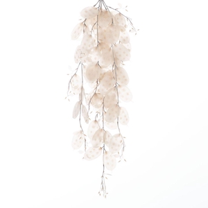 AF Hang Bush Lunaria x5 L79cm
