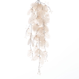 AF Hang Bush Lunaria x5 L79cm