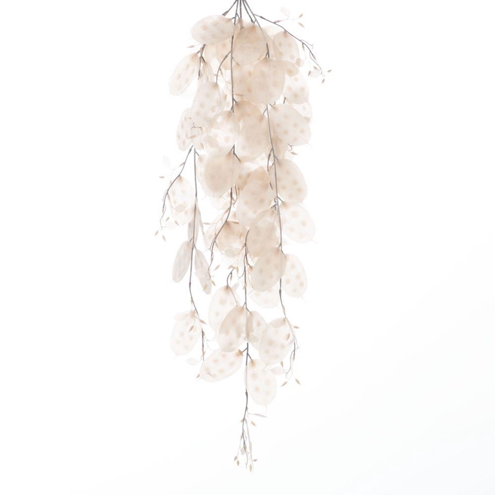 <h4>AF Hang Bush Lunaria x5 L79cm</h4>