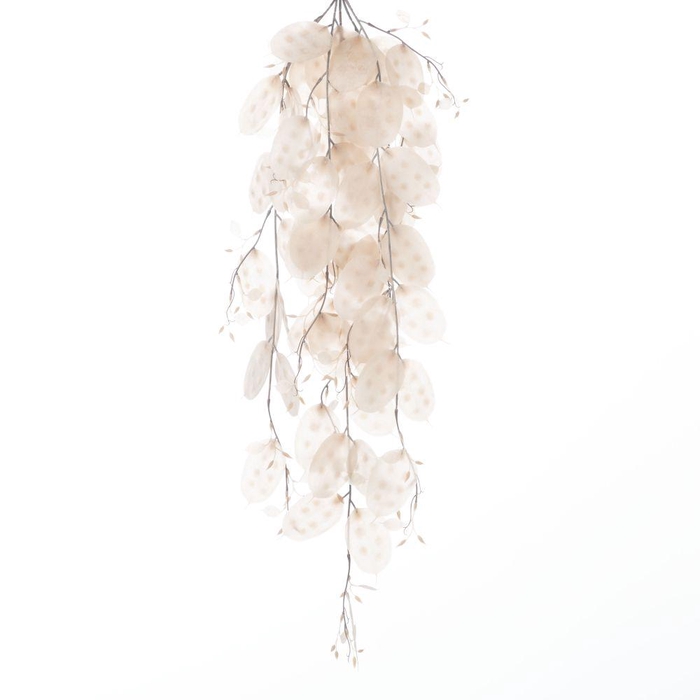 <h4>AF Hang Bush Lunaria x5 L79cm</h4>