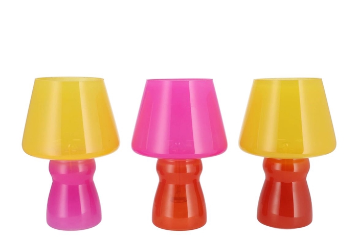 <h4>Bicolore Dutch Orange Mix Led Lamp Ass 17x25cm</h4>