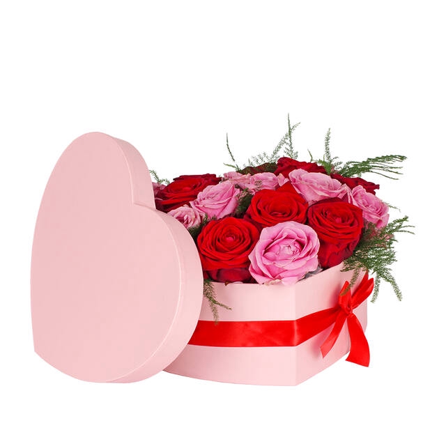 <h4>Housses 52x35x10cm OPP40 Kraftline rose</h4>