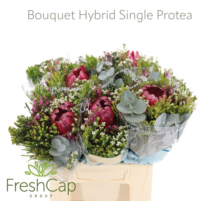 Bouquet Sfb With Eucalyptus