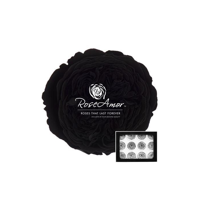 <h4>Amelia Bla01</h4>