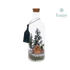 Green Bottlefles Medium met Chamaecyparis