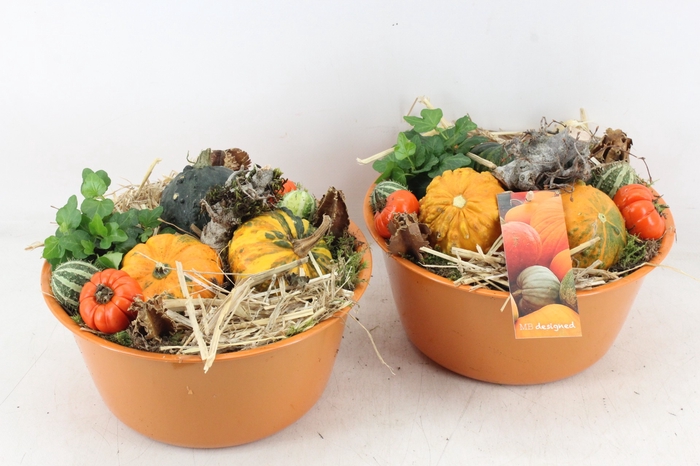 <h4>arr4 Sierfruit MB - Zink oranje x4</h4>