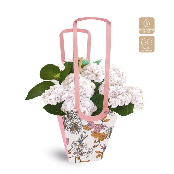 <h4>Bags Aqua Birdy 17.5*11*20cm</h4>