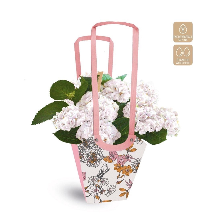 <h4>Bags Aqua Birdy 17.5*11*20cm</h4>