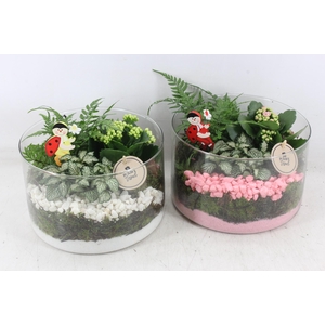 Arr2 Pl - Glas Cilin. 401/2 - Roze/wit