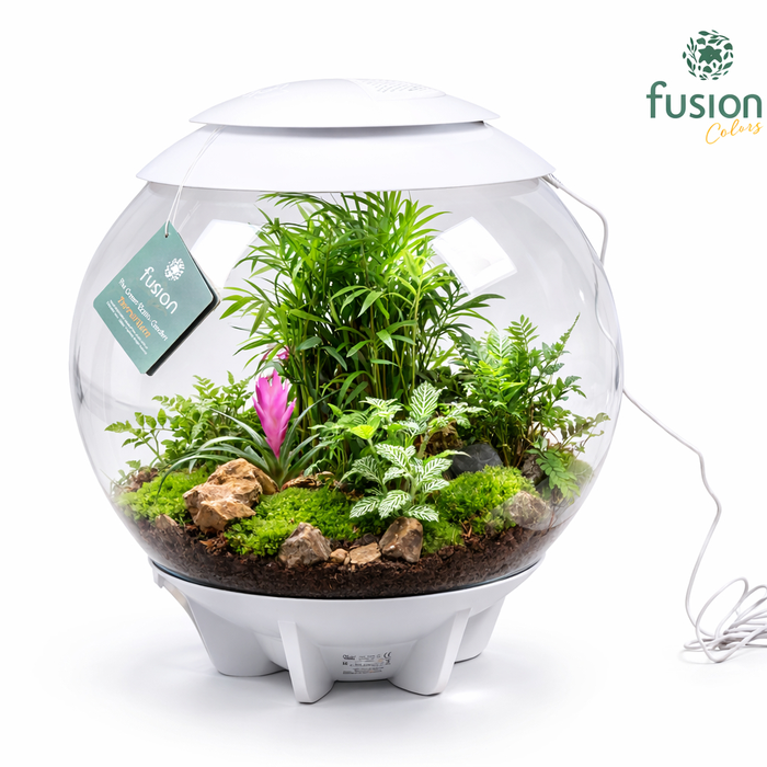 <h4>Terrarium XXL Exclusive wit met arrangement</h4>
