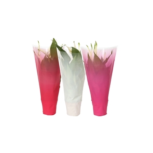 KP-794.3 - Spathiphyllum 9cm In gekleurde hoes, lovemix