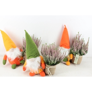 arr4 Outdoor MB - Gnome mix calluna
