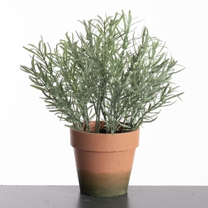 Af Rosemarinus Pot H29cm Grey