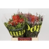 BQ Nutans 3 Flower