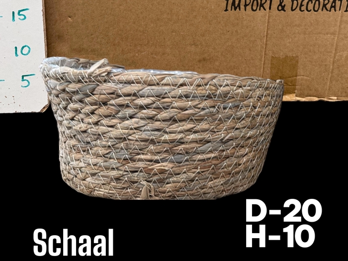 <h4>MANDWERK H%</h4>