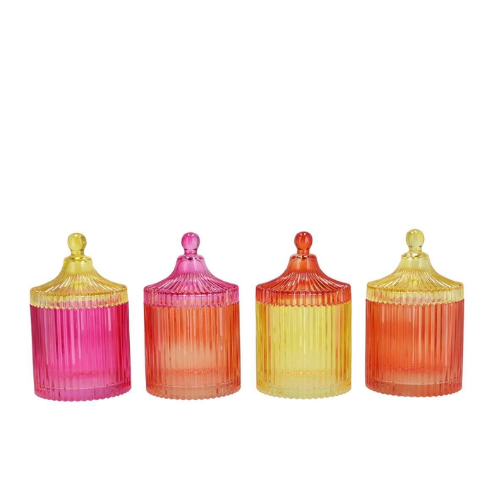 <h4>Bicolore Dutch Orange Mix Jars Ass 11x17cm Nm</h4>