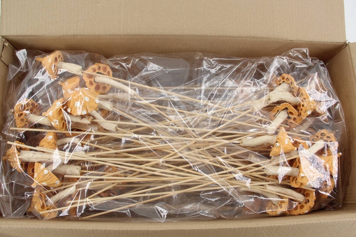 <h4>Stick Mushroom Lotus Yellow</h4>